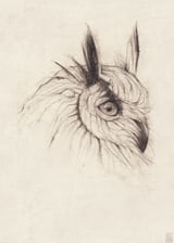 Owl by Mike Koubou thumbnail