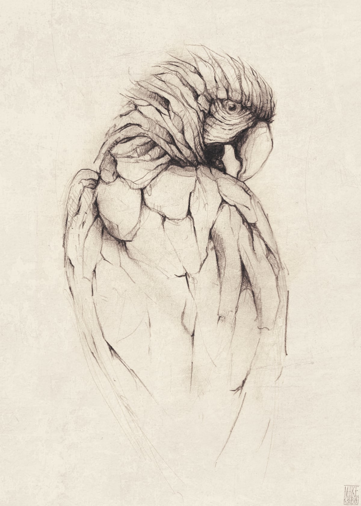 Parrot by Mike Koubou