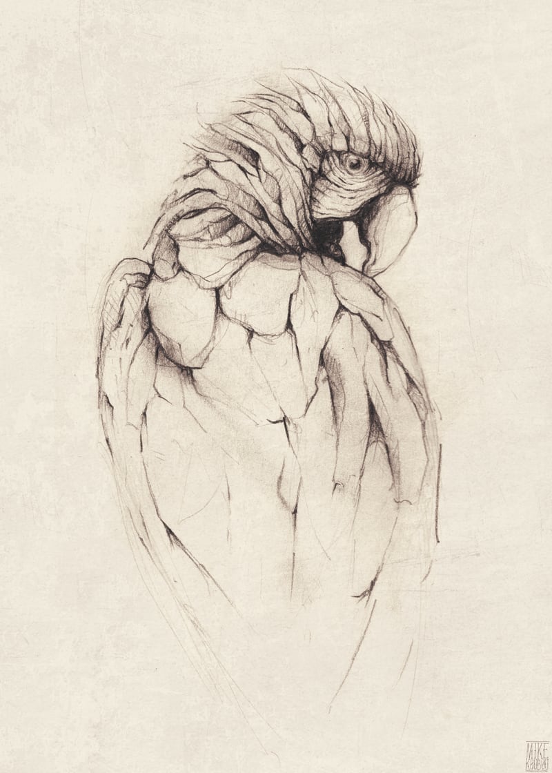 Parrot by Mike Koubou