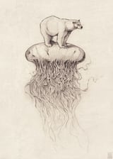 Polar Bear  by Mike Koubou thumbnail