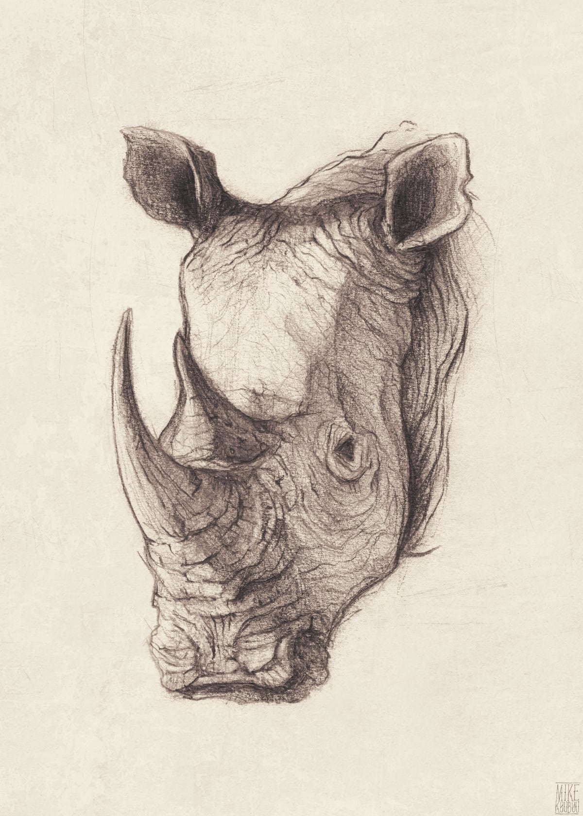 Rhinoceros by Mike Koubou