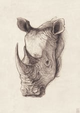 Rhinoceros by Mike Koubou thumbnail