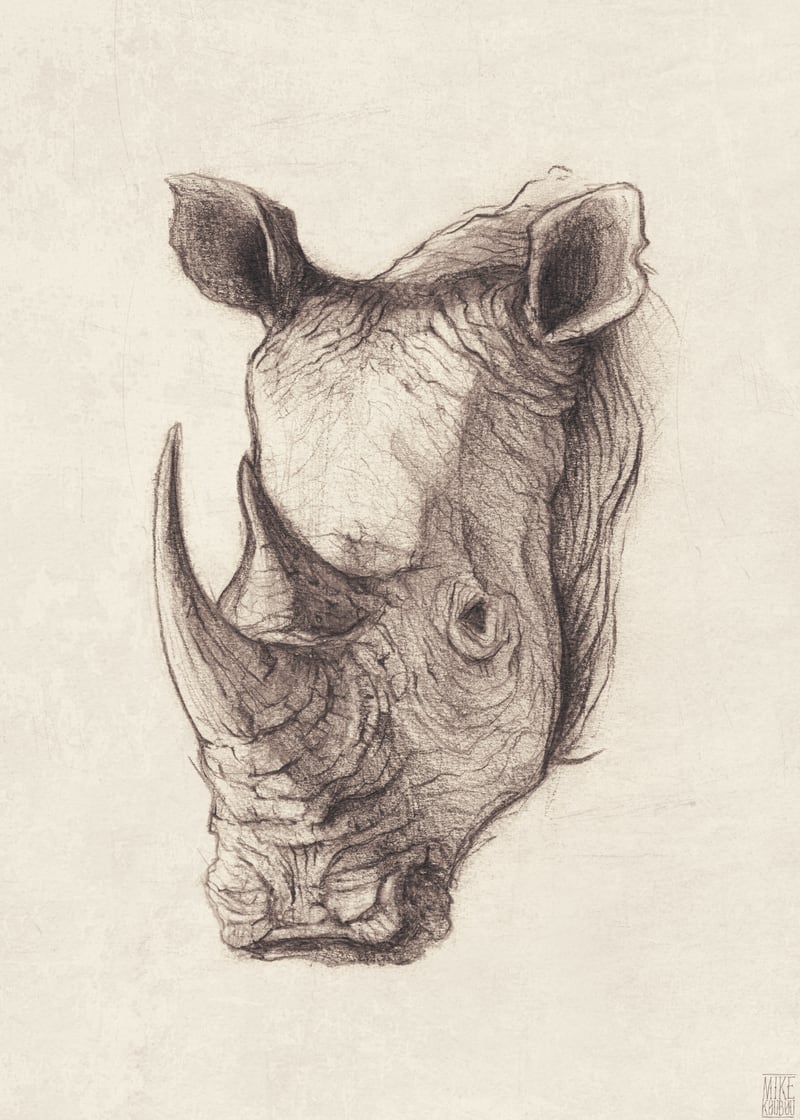 Rhinoceros by Mike Koubou