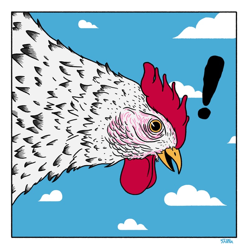 CHICKEN by STML