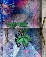 Inculcation by Linda Carruth thumbnail