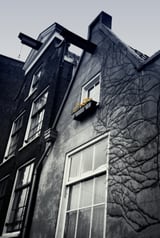 Amsterdam. House With Yellow Flowers. by BlackLineWhite thumbnail