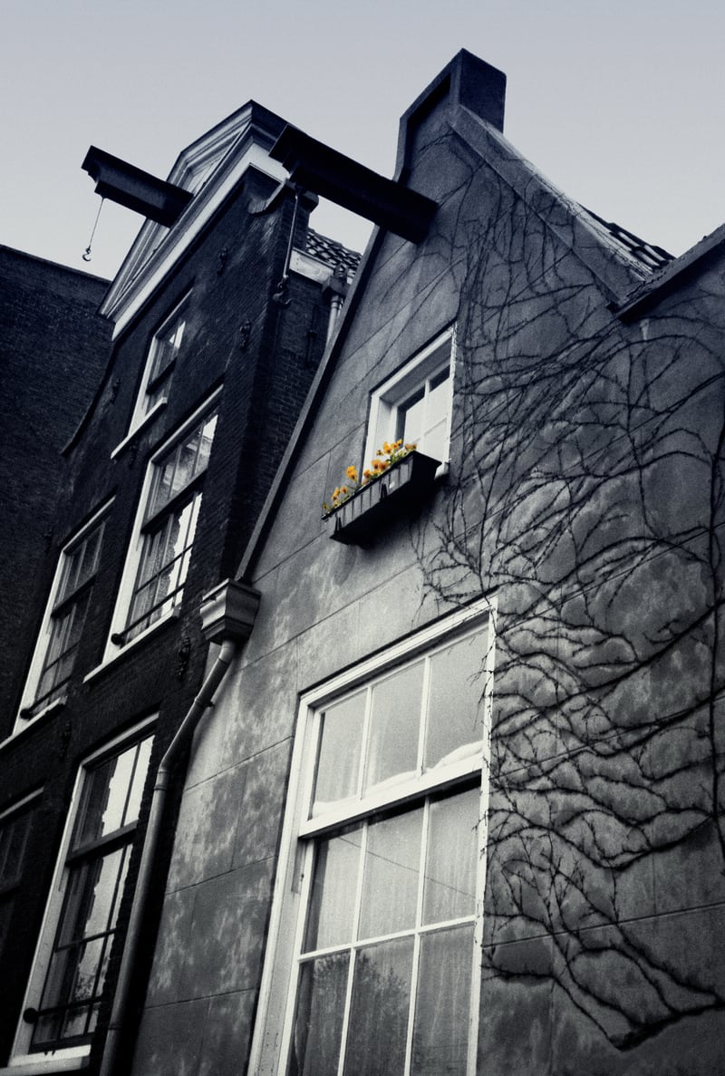 Amsterdam. House With Yellow Flowers. by BlackLineWhite
