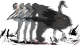 The Black Swan by Healarum thumbnail