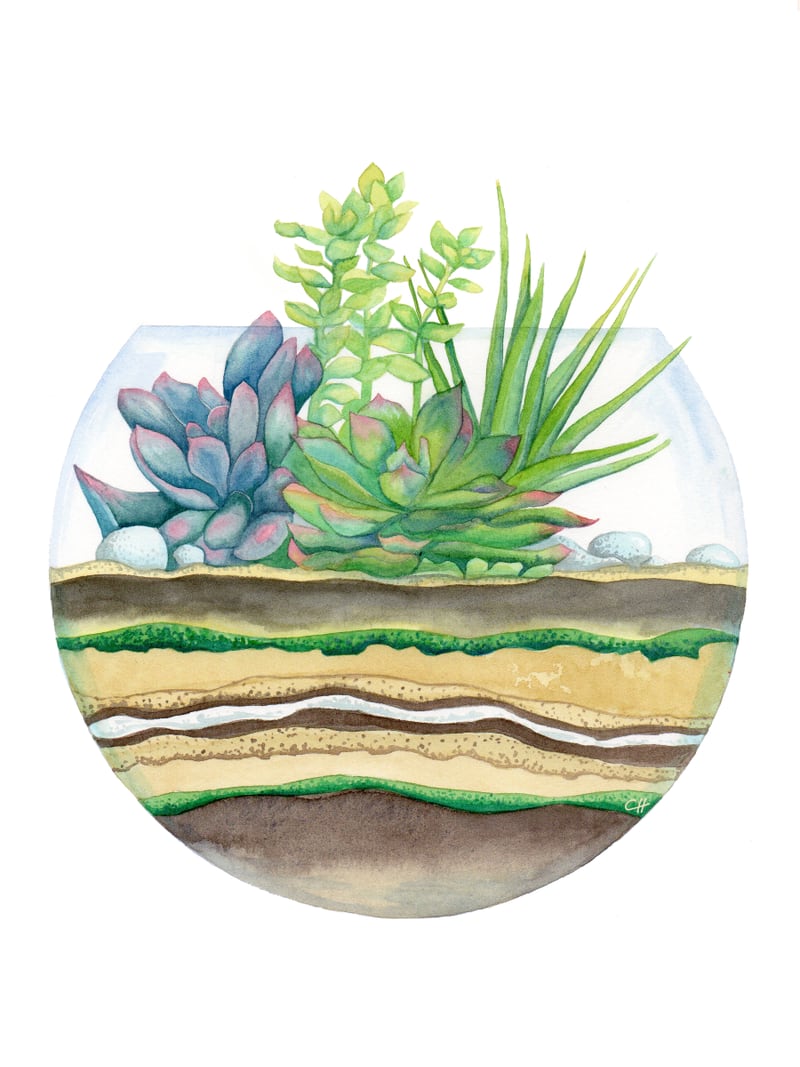 A Little Green Terrarium by Charlotte Hogg Design