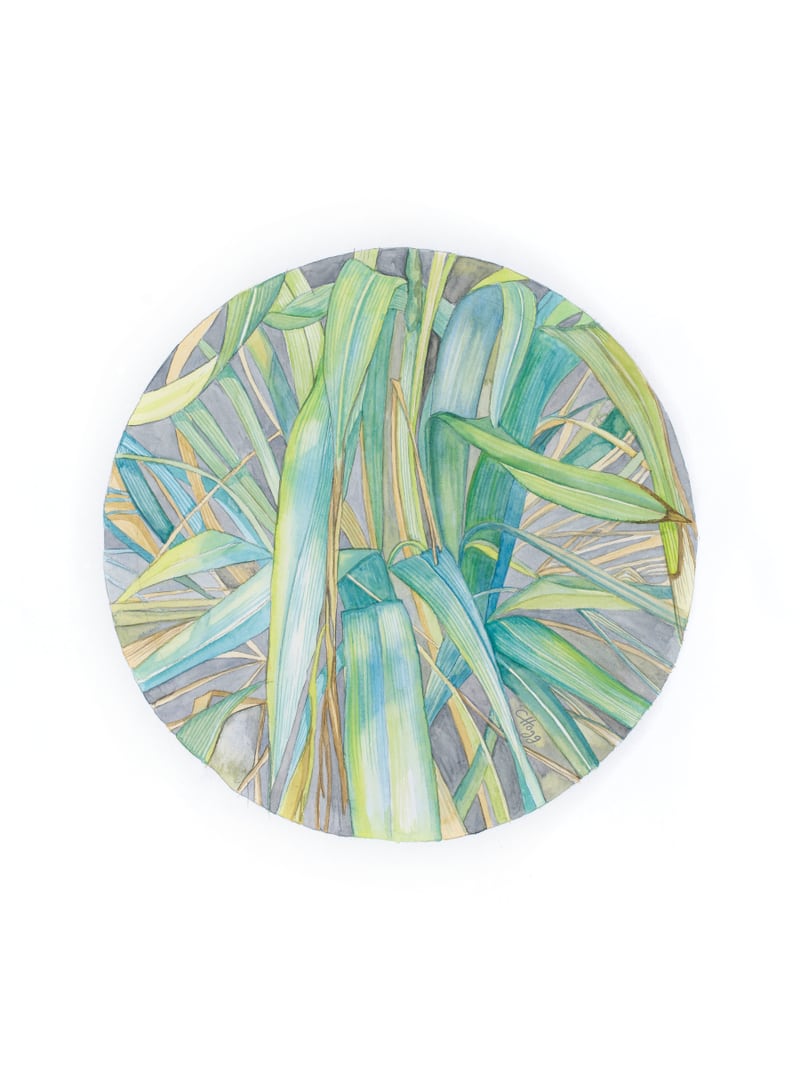 Grasses In The Late Summer Light by Charlotte Hogg Design
