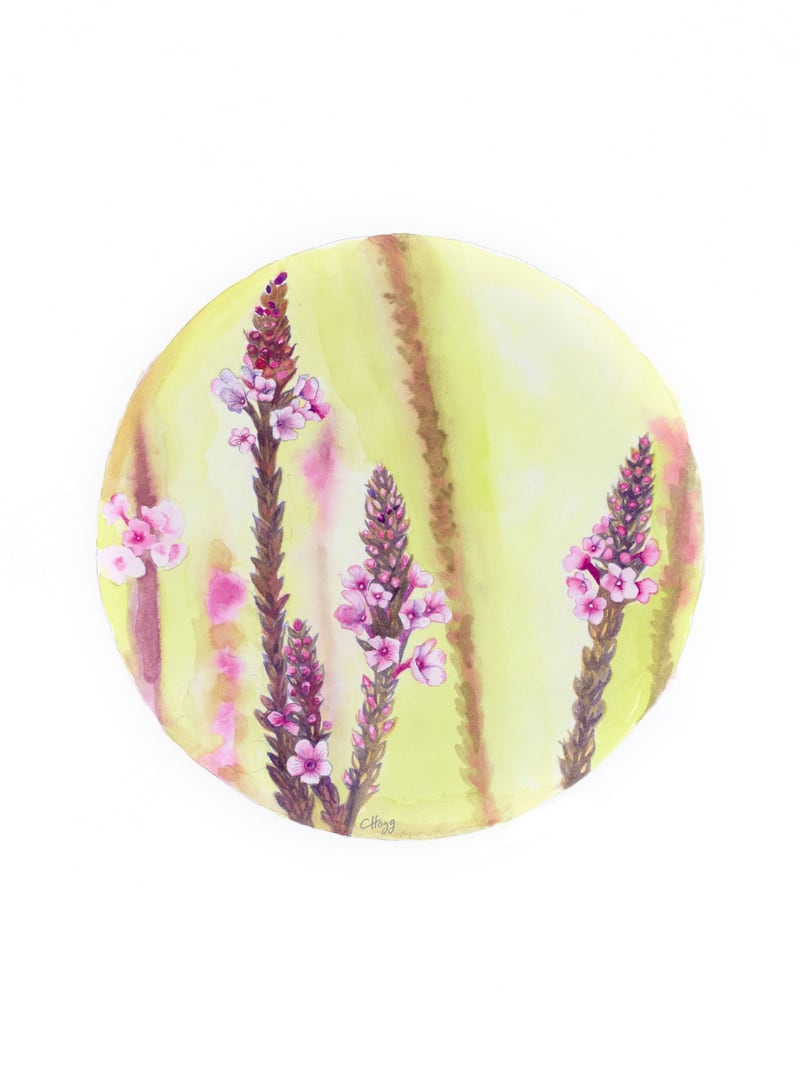 Circular Verbena by Charlotte Hogg Design