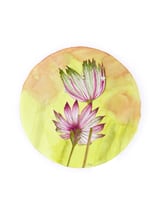 Circular Astrantia  by Charlotte Hogg Design thumbnail
