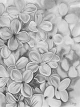 The Essence Of Spring in Monochrome by Charlotte Hogg Design thumbnail