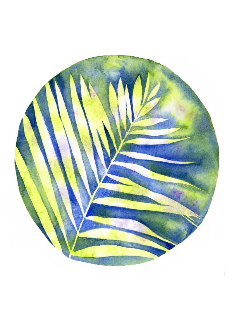 Fern Shadows Std by Charlotte Hogg Design