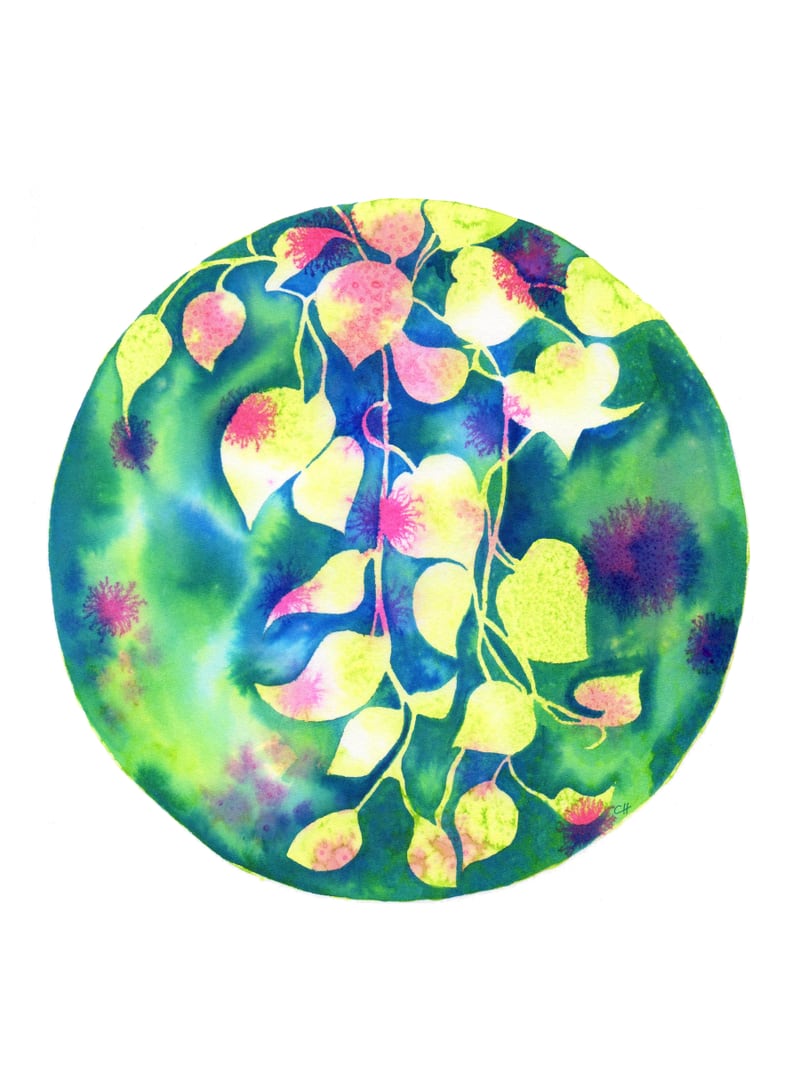 Vine Shadows by Charlotte Hogg Design