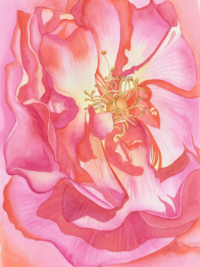 Love Is A Rose by Charlotte Hogg Design