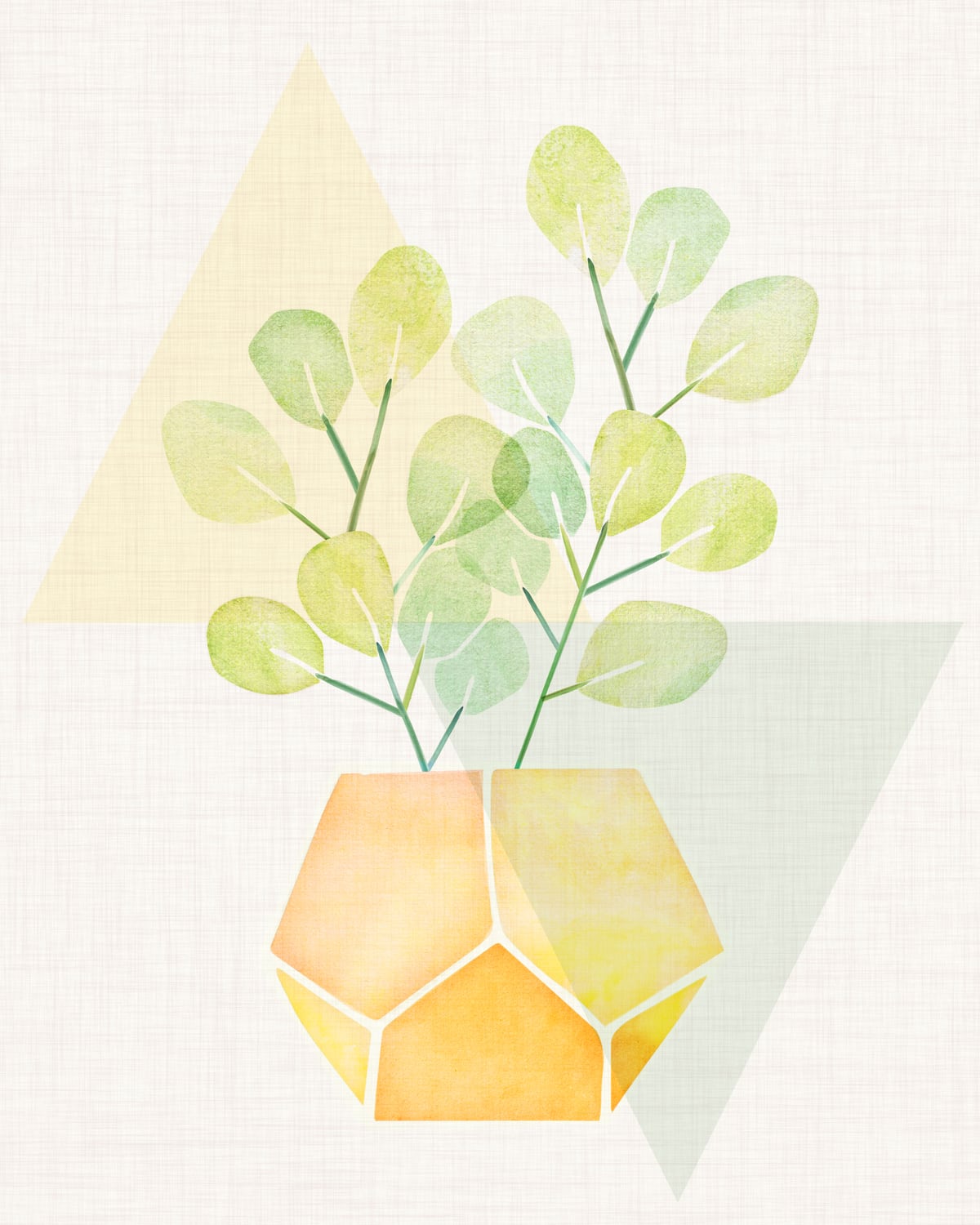 Geometry and House Plant by Modern Tropical