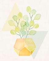 Geometry and House Plant by Modern Tropical thumbnail