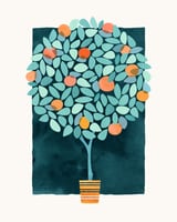 Orange Tree At Midnight by Modern Tropical thumbnail