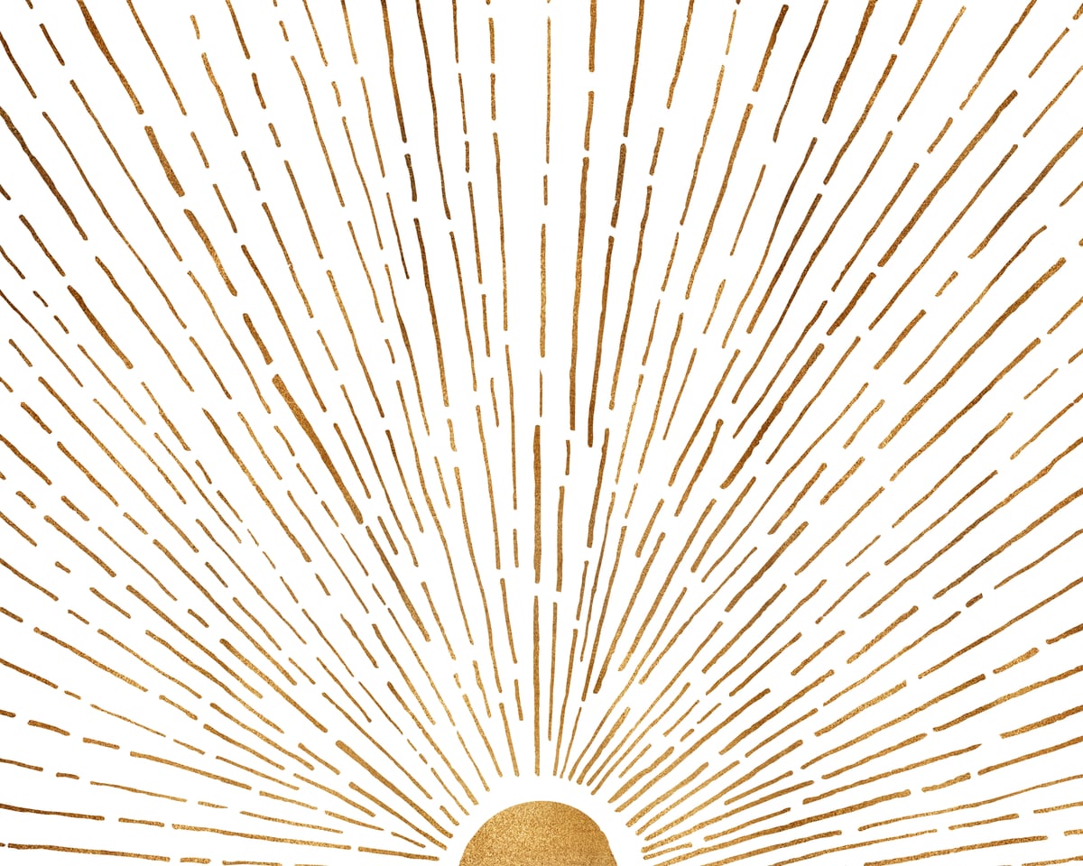 Let The Sunshine In by Modern Tropical