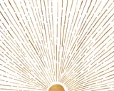 Let The Sunshine In by Modern Tropical thumbnail