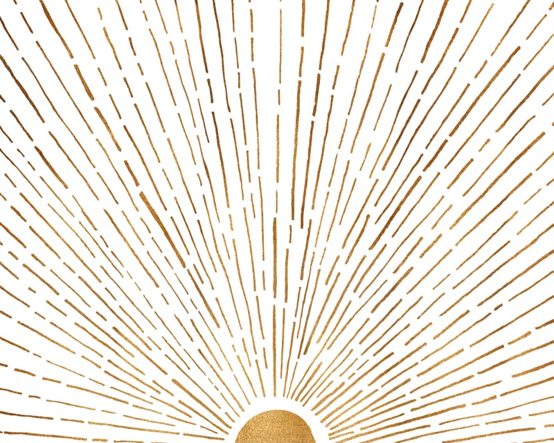 Let The Sunshine In by Modern Tropical
