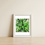 Splash — framed, leaning against the wall thumbnail
