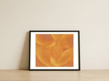 Mature Mango — framed, leaning against the wall thumbnail