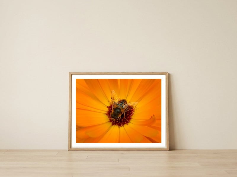 Bee Kind — framed, leaning against the wall