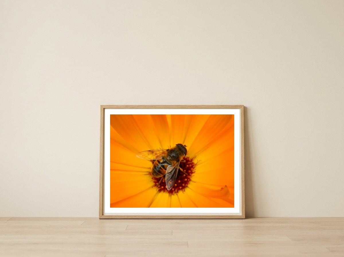Bee Kinder — framed, leaning against the wall