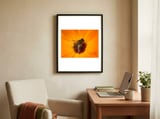 Bee Kinder framed in a focused room thumbnail