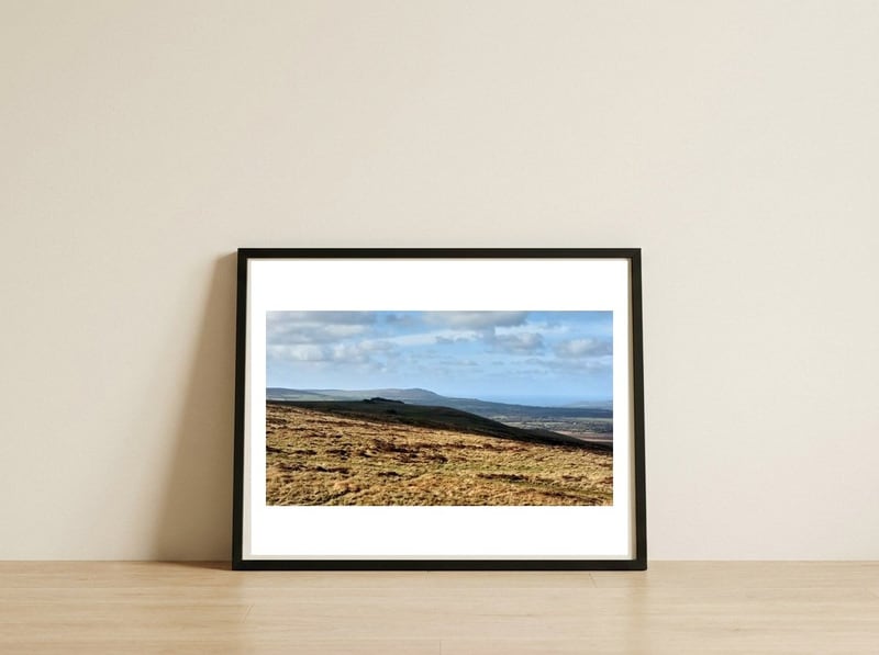 Preseli Hills — framed, leaning against the wall
