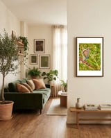 Butterfly in the meadow framed in a grounding room thumbnail
