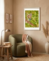 Butterfly in the meadow framed in a tender room thumbnail