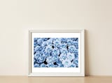 Darker — framed, leaning against the wall thumbnail