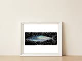 Fish Sierra — framed, leaning against the wall thumbnail