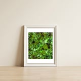 In Disguise — framed, leaning against the wall thumbnail