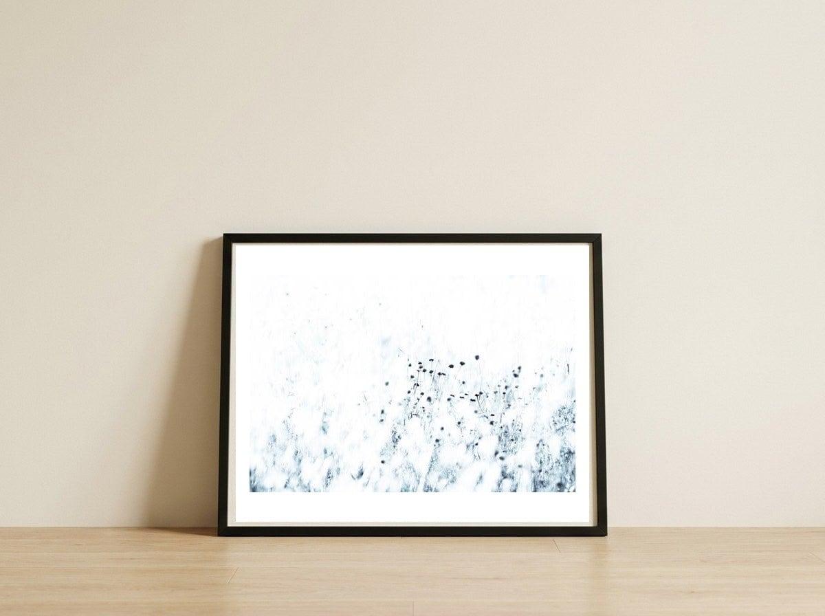 Syrian Thistle — framed, leaning against the wall