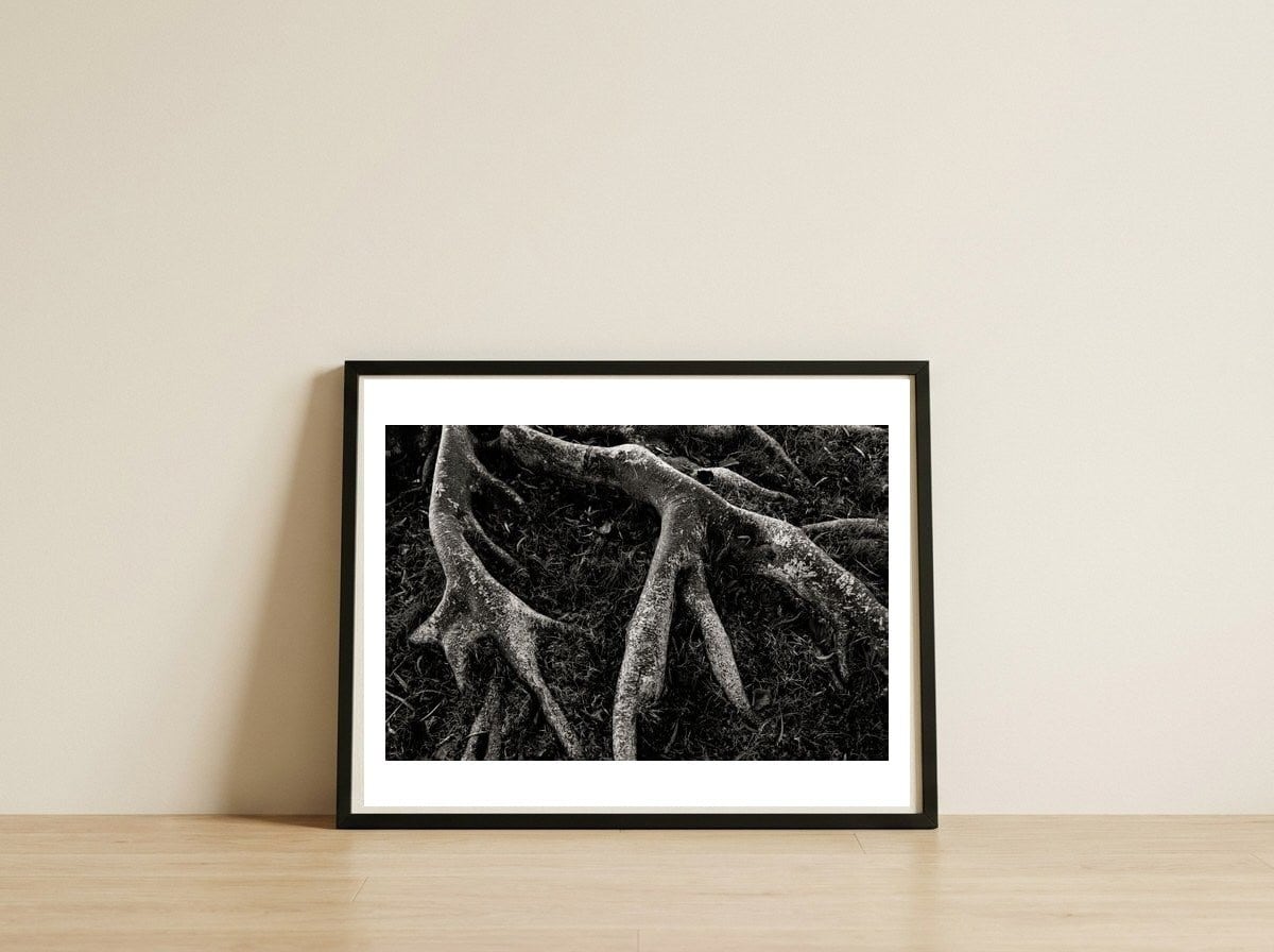 Roots II — framed, leaning against the wall