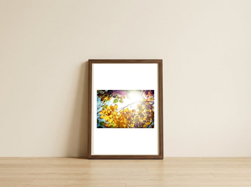 Winter is finally here — framed, leaning against the wall