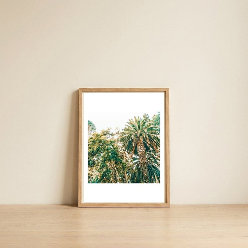 Newport — framed, leaning against the wall