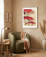 Fish Classic Designs 7 framed in a tender room thumbnail
