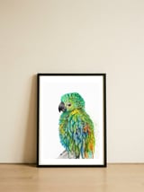 Parrot — framed, leaning against the wall thumbnail