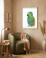 Parrot framed in a tender room thumbnail