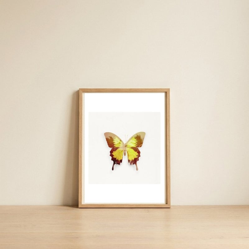 Tropical Butterfly — framed, leaning against the wall
