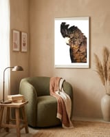 Black Cockatoo  framed in a tender room thumbnail