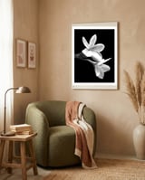 Black and White Flowers  framed in a tender room thumbnail