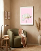 White Peony Pink Background framed in a tender room thumbnail