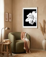 White Lily Black Background framed in a tender room thumbnail
