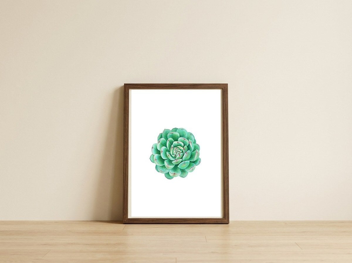 Succulent plant — framed, leaning against the wall